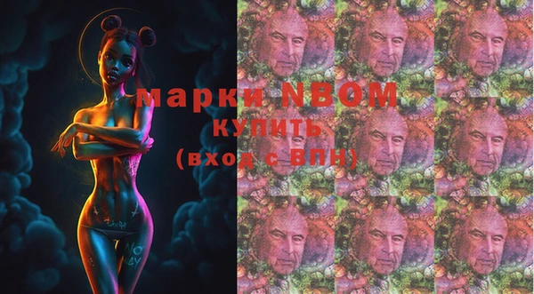 ГАЛЛЮЦИНОГЕННЫЕ ГРИБЫ Аркадак