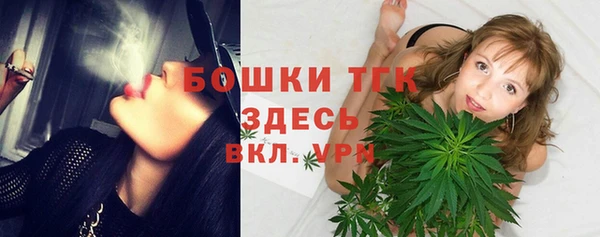 ГАЛЛЮЦИНОГЕННЫЕ ГРИБЫ Аркадак