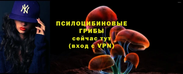 ГАЛЛЮЦИНОГЕННЫЕ ГРИБЫ Аркадак