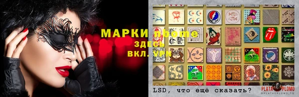 ГАЛЛЮЦИНОГЕННЫЕ ГРИБЫ Аркадак