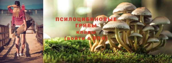 таблы Арсеньев
