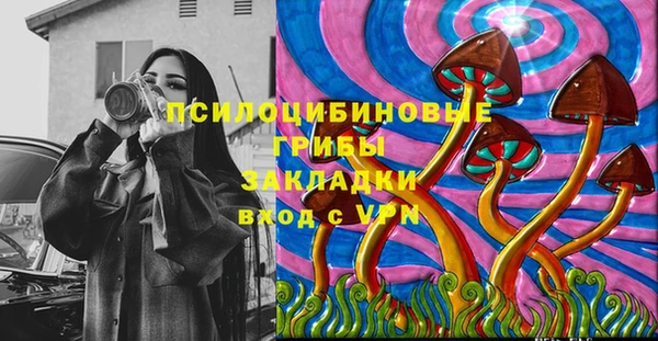 ГАЛЛЮЦИНОГЕННЫЕ ГРИБЫ Аркадак
